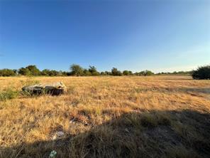 1009 Goodnight Trail - Photo 10