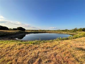 1009 Goodnight Trail - Photo 13