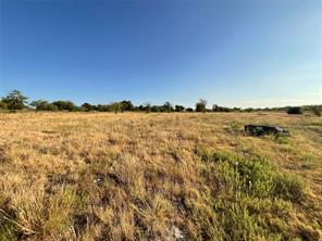 1009 Goodnight Trail - Photo 16