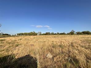 1009 Goodnight Trail - Photo 2