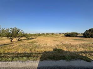 1009 Goodnight Trail - Photo 3