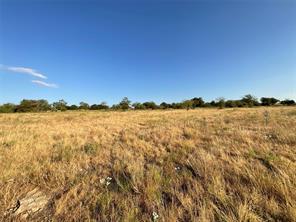 1009 Goodnight Trail - Photo 4