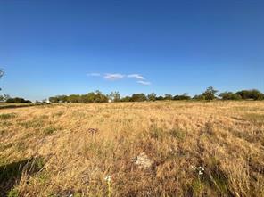 1009 Goodnight Trail - Photo 5