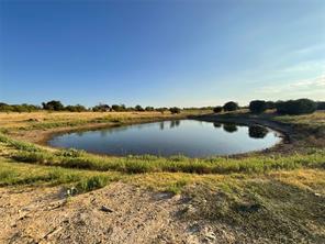1009 Goodnight Trail - Photo 7
