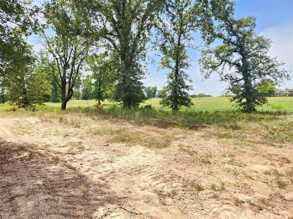 Lot 24 CR 3249 - Photo 1