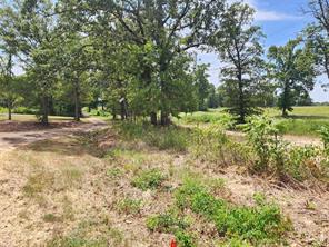 Lot 24 CR 3249 - Photo 2