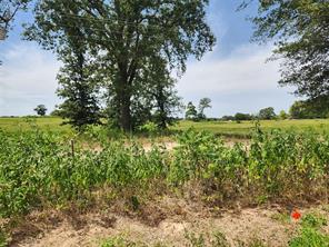 Lot 24 CR 3249 - Photo 3