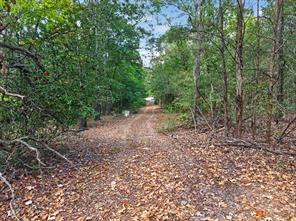 0 N US Highway 287 - Photo 5