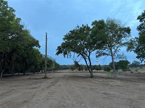 4756 County Road 707 - Photo 6