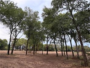 4772 County Road 707 - Photo 3
