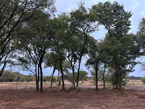 4772 County Road 707 - Photo 4