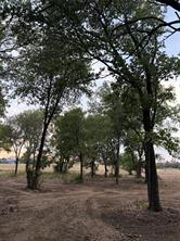 4808 County Road 707 - Photo 4
