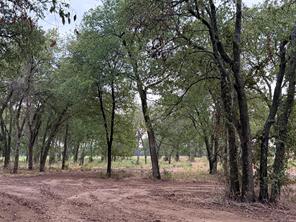 4808 County Road 707 - Photo 5