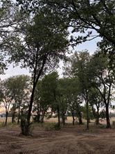 4808 County Road 707 - Photo 6