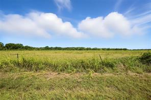 000 County Road 487 - Photo 17