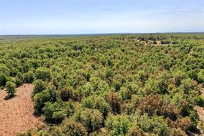 TBD Two Bush Road Road - Photo 11