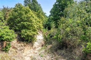 TBD Two Bush Road Road - Photo 12