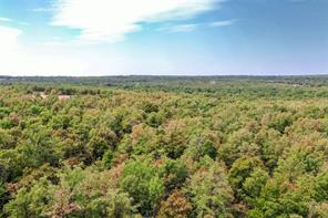 TBD Two Bush Road Road - Photo 20