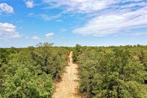 TBD Two Bush Road Road - Photo 23