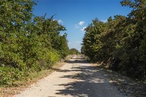 TBD Two Bush Road Road - Photo 28
