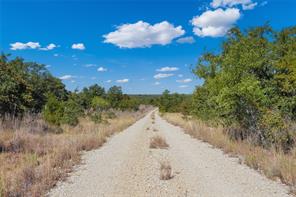 TBD Two Bush Road Road - Photo 29