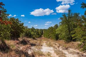 TBD Two Bush Road Road - Photo 31