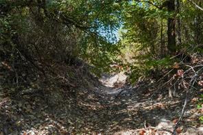 TBD Two Bush Road Road - Photo 33