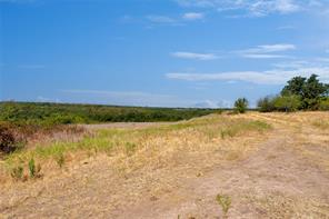 TBD Two Bush Road Road - Photo 35