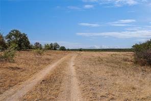 TBD Two Bush Road Road - Photo 38