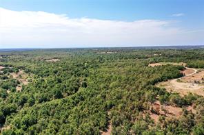 TBD Two Bush Road Road - Photo 4