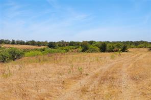 TBD Two Bush Road Road - Photo 40