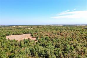 TBD Two Bush Road Road - Photo 6
