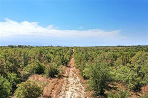 TBD Two Bush Road Road - Photo 8