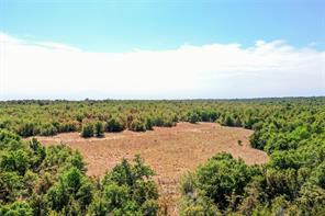 TBD Two Bush Road Road - Photo 9