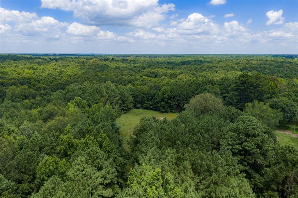 0 County Road 3154 - Photo 1