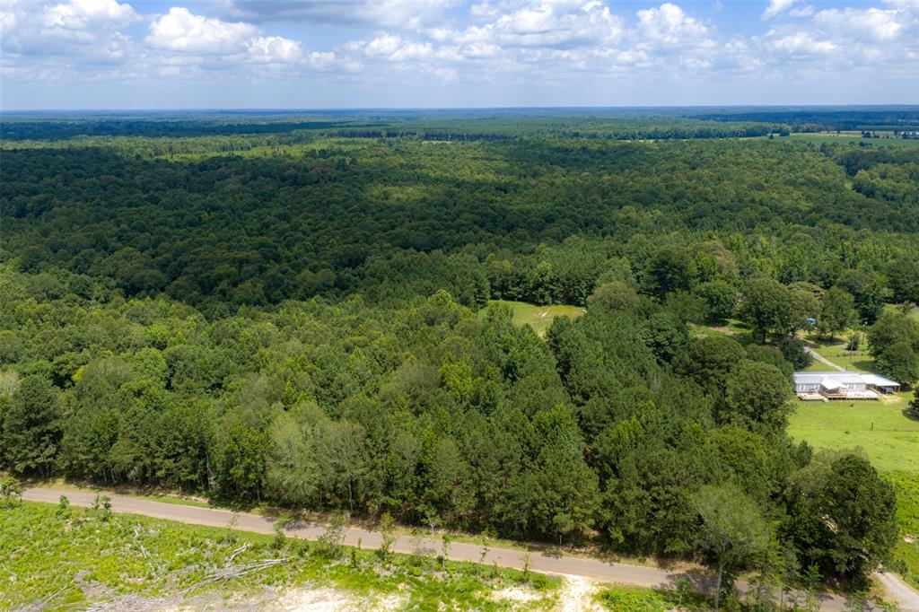 0 County Road 3154 - Photo 11