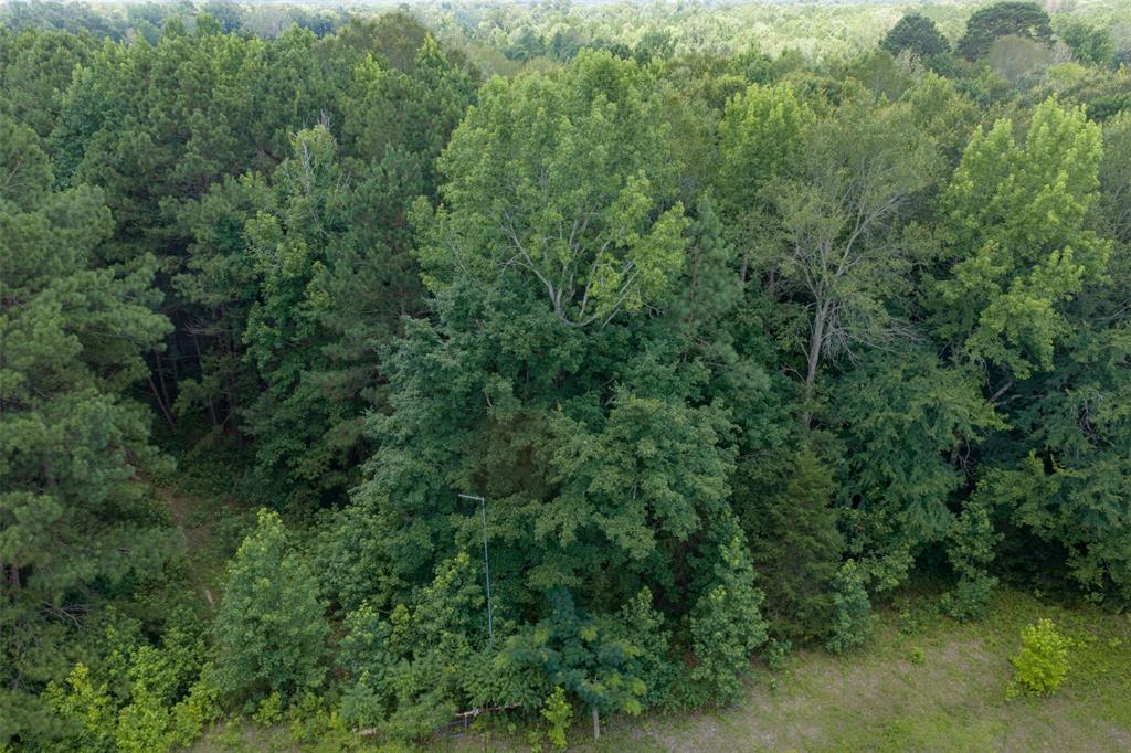 0 County Road 3154 - Photo 13