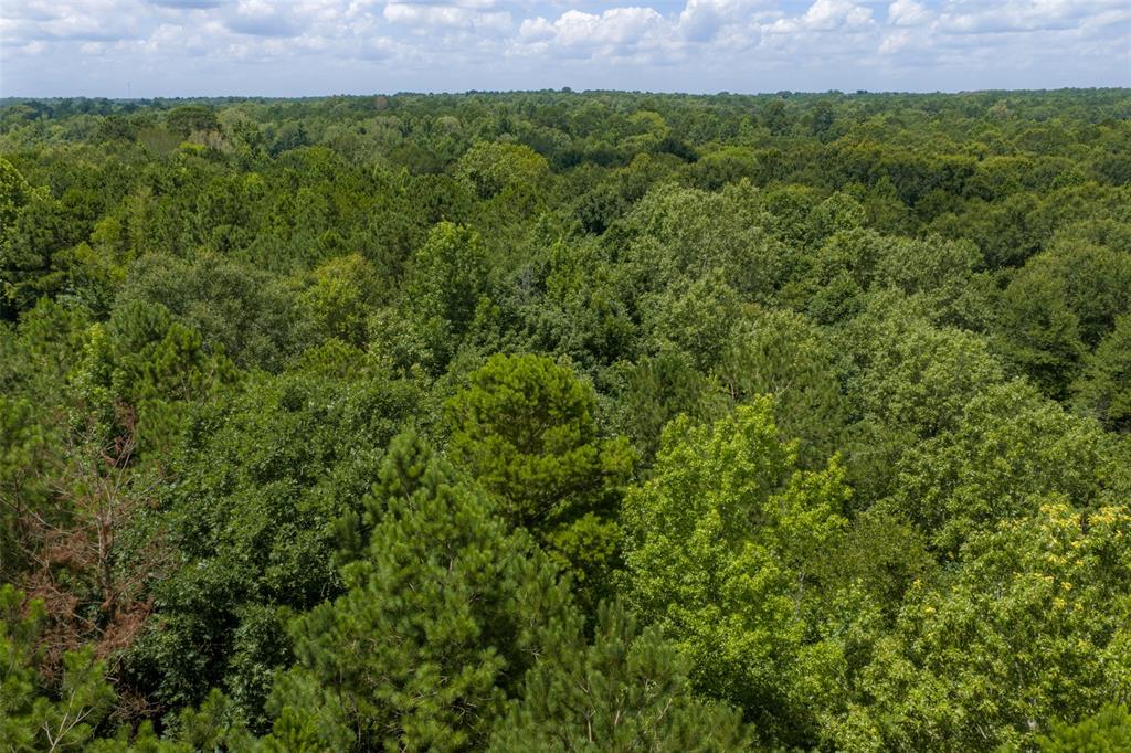 0 County Road 3154 - Photo 15