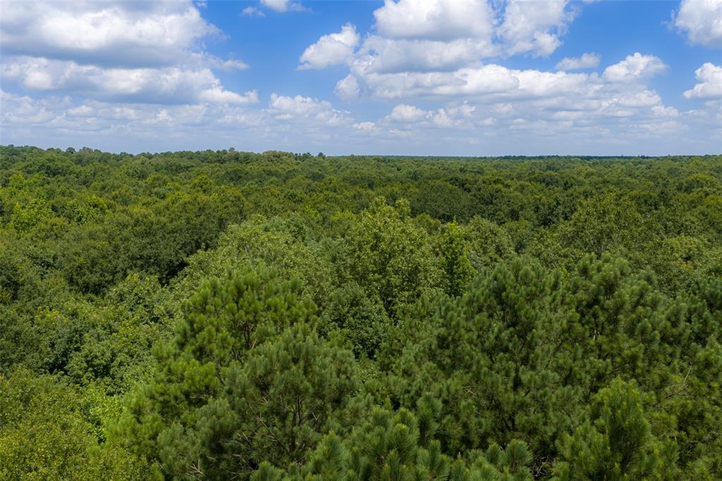 0 County Road 3154 - Photo 17