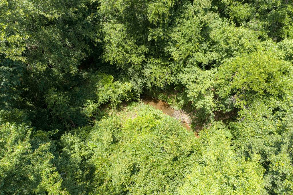 0 County Road 3154 - Photo 2