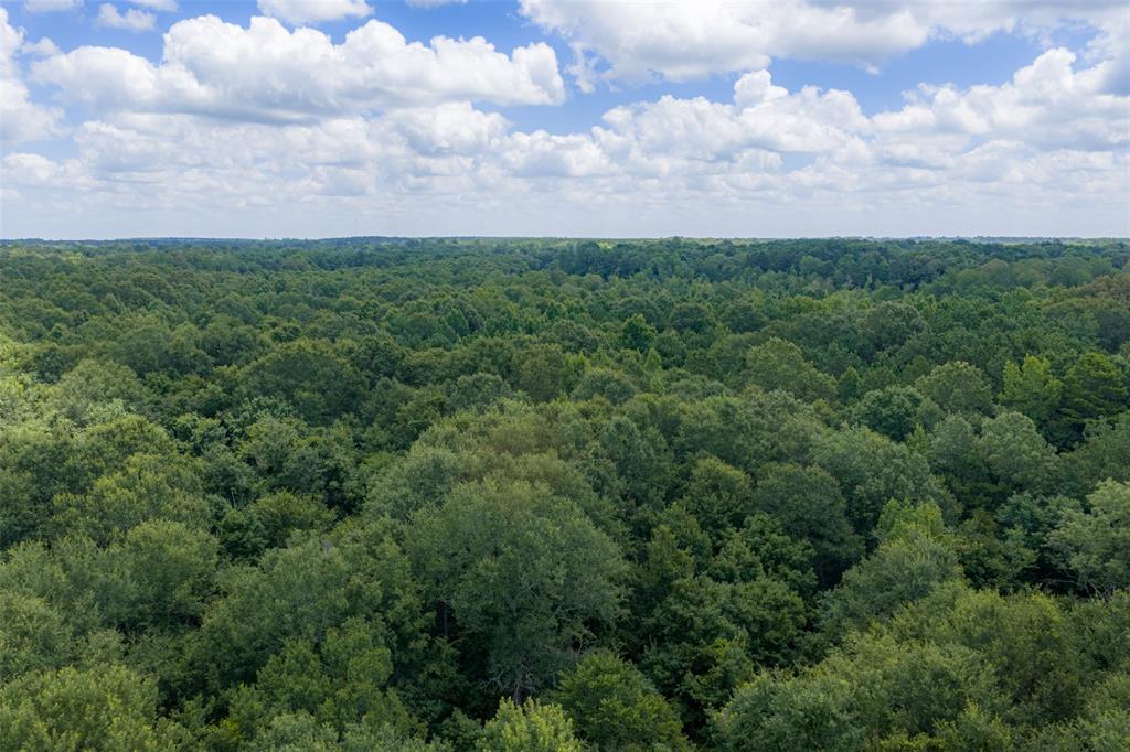 0 County Road 3154 - Photo 22