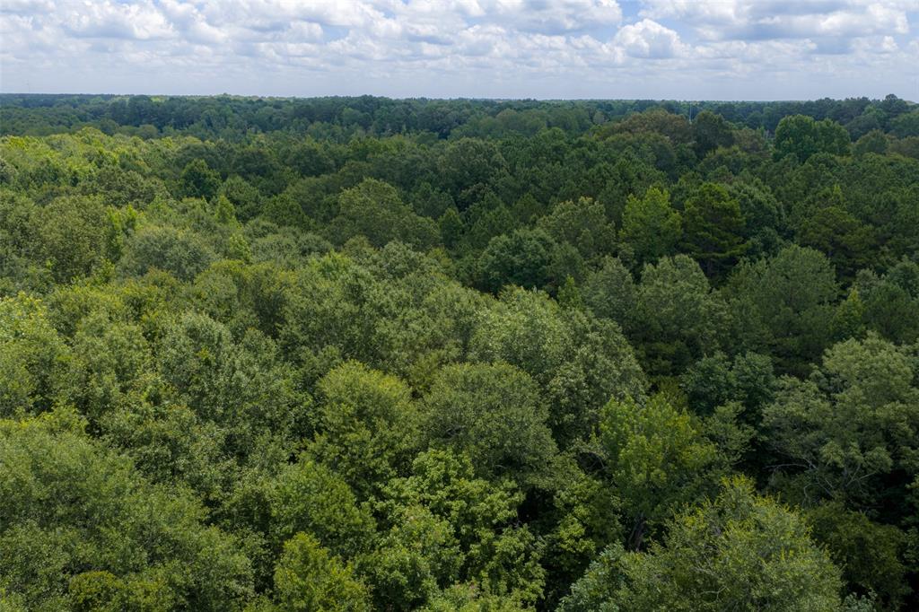 0 County Road 3154 - Photo 23