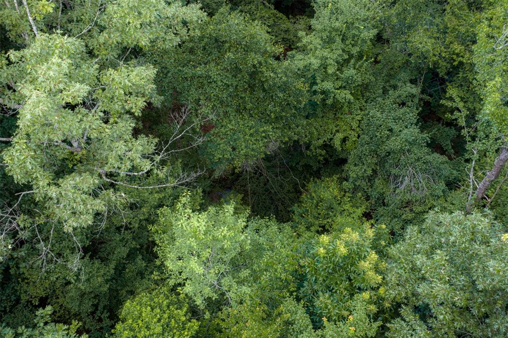 0 County Road 3154 - Photo 25