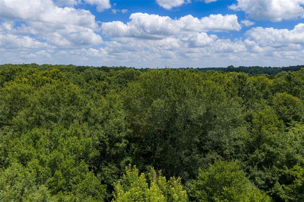 0 County Road 3154 - Photo 27