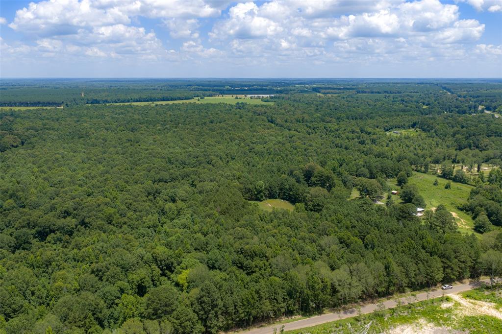 0 County Road 3154 - Photo 28