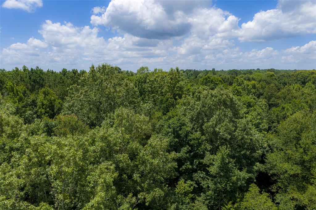 0 County Road 3154 - Photo 31