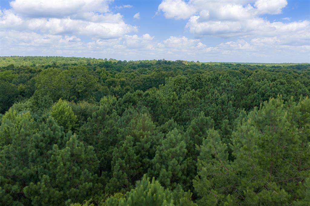 0 County Road 3154 - Photo 34