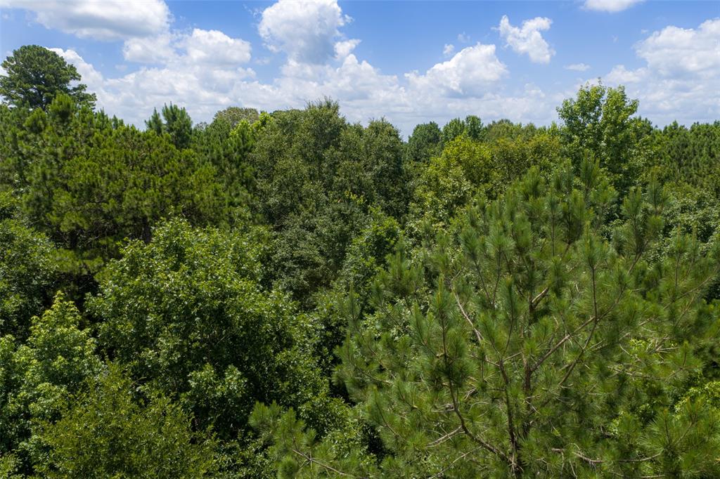 0 County Road 3154 - Photo 35