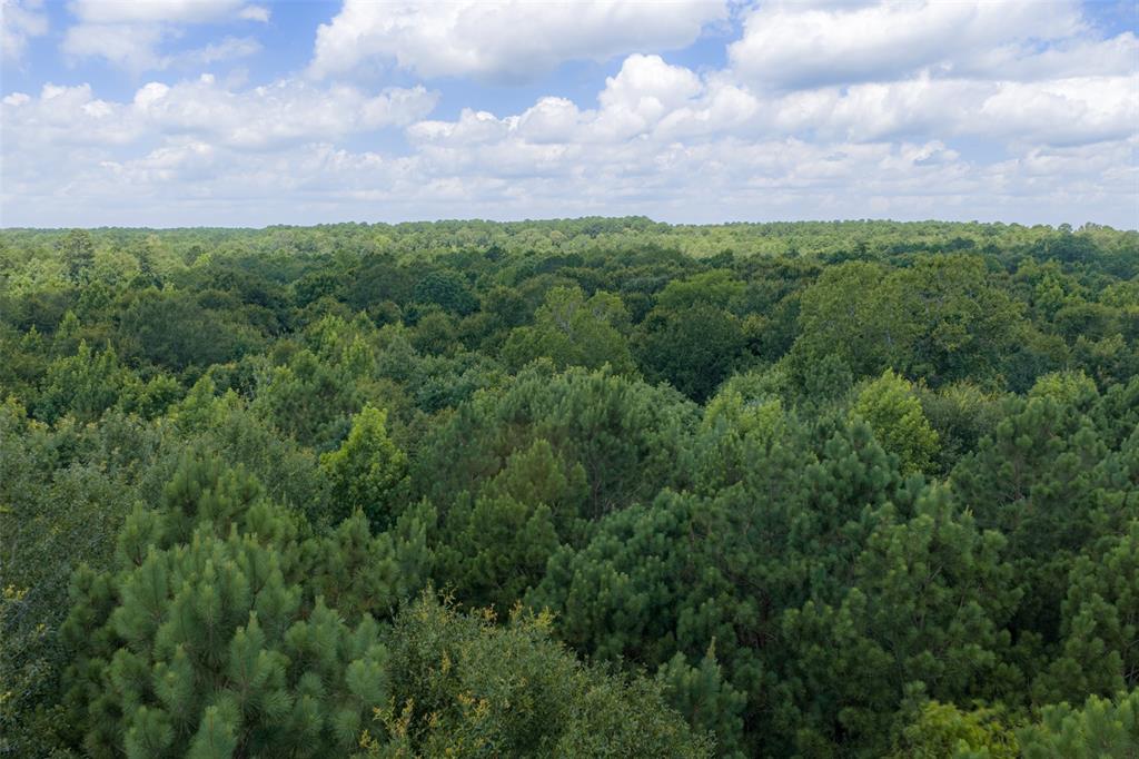 0 County Road 3154 - Photo 39