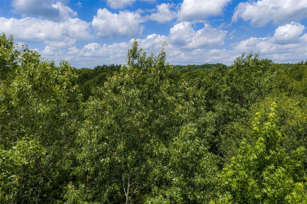 0 County Road 3154 - Photo 40
